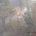 Narva linnas põles laupäeval mets