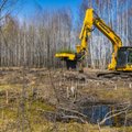 Hüvasti, labidad ja torud! Metsa istutamine masinaga on kasvav trend nii RMKs kui erasektoris