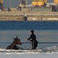 FOTOD: Hipodroomilt plehku pannud hobune vajus Stroomi rannas läbi jää