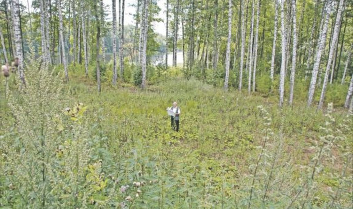“See on ju mets!” avastab Karula valla maakorraldaja Heldur Talvik Urmo Altosaarele kuuluval Lutsupalu kinnistul. 
Paberid näitavad aga, et tegemist on loodusliku rohumaaga, mis võimaldaks ehitusloa andmist.     