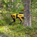 Robotkoer metsa tööle? Tööjõupuudus kiirendab metsasektori automatiseerimist