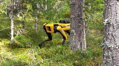Robotkoer metsa tööle? Tööjõupuudus kiirendab metsasektori automatiseerimist