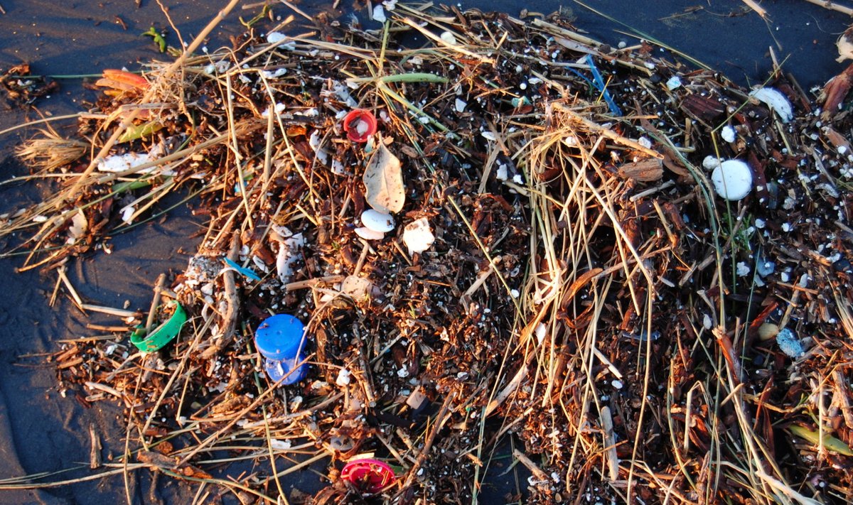 Merelt randa uhutud plastjäätmed. (Foto: Wikimedia Commons / Kevin Krejci)