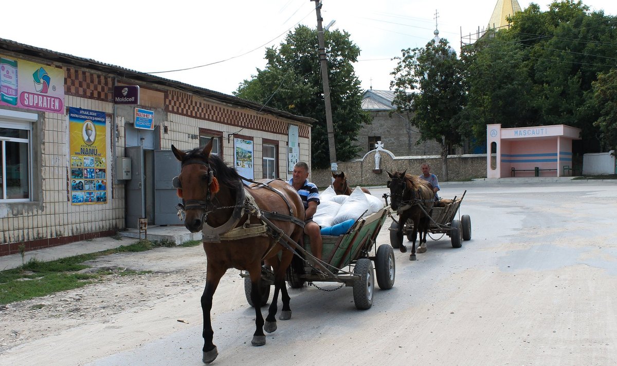 Moldova külaelu 2016 koos hobuste, lehmade ja hanedega on kui ajamasina retk minevikku, mil Eestimaalgi polnud veel hobvanker maanteel harulduseks