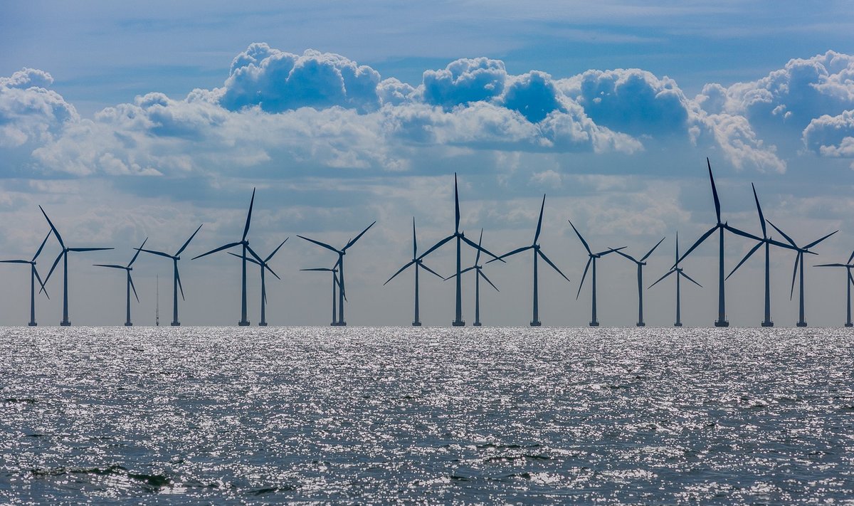 Peatselt selgub, kes teeb Eesti merevetesse esimese suure tuulepargi.