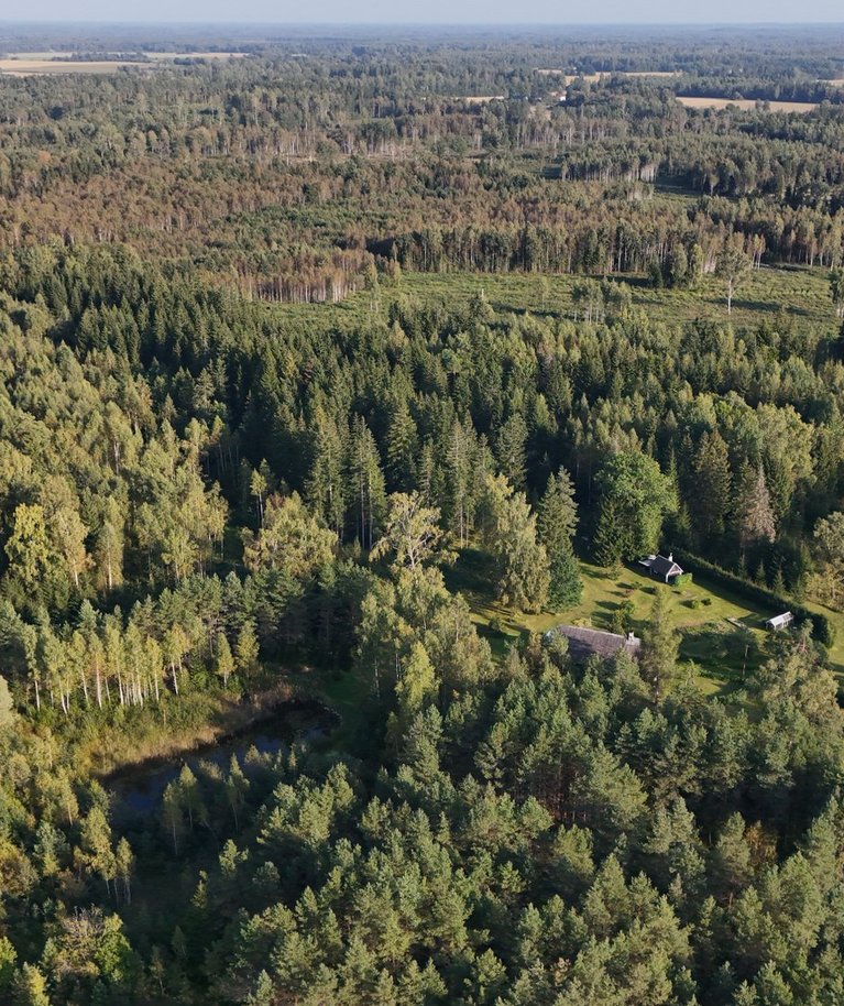 Eestimaal on metsa palju ja see koosneb väga erinevate omadustega puistutest. Uus mudel aitab meil senisest täpsemini hinnata metsade puidu juurdekasvu.