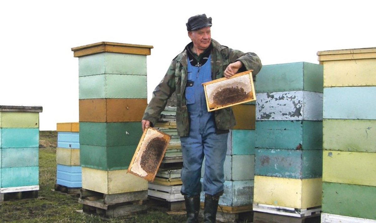 Varem Maalehe mesindusblogi  pidanud Allu Pärtel näitab,  et süüa oleks mesilastel olnud küll. Tema kõrval on salapäraselt  tühjaks jäänud tarud.