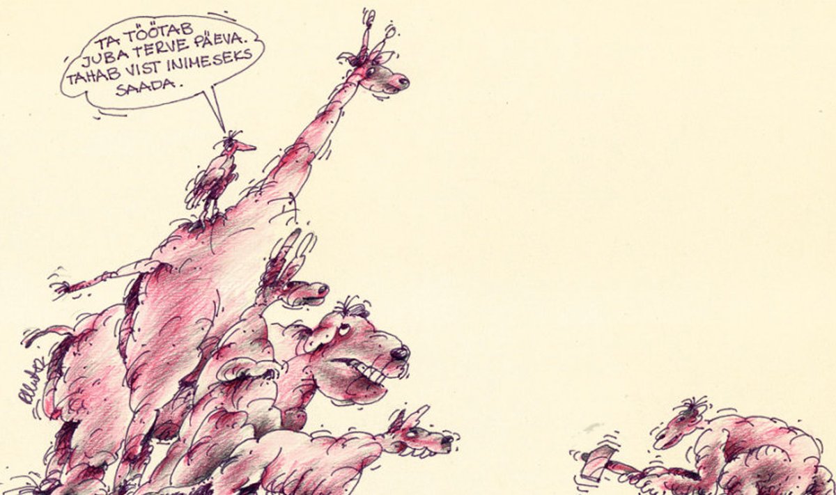 Riho Undi karikatuur,  mis ilmus ajakirjas Pikker 1983. aastal. 