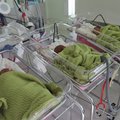 ФОТО | Смотрите, какие милые! В Ида-Таллиннской центральной больнице родились тройняшки Анни, Анна и Ити