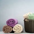 Käterätikute ja voodilinade vahel toimetavad bakterid lühendavad tekstiili eluiga