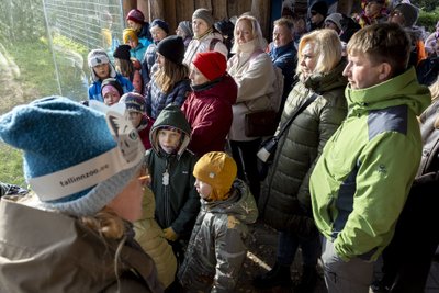 Lumeleopardipäev Tallinna loomaaias