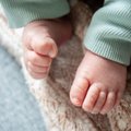 В прошлом году в Таллинне зарегистрировали более 3600 новорожденных. Какие имена были самыми популярными?