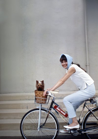 Audrey Hepburn, 1964.