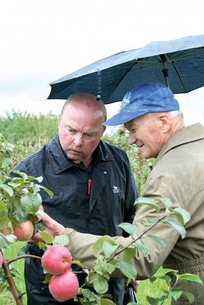 Kalju Kask ja Toivo Rüütmann uurivad Dobeles puuviljandusinstituudi aias läti õunasorte.
