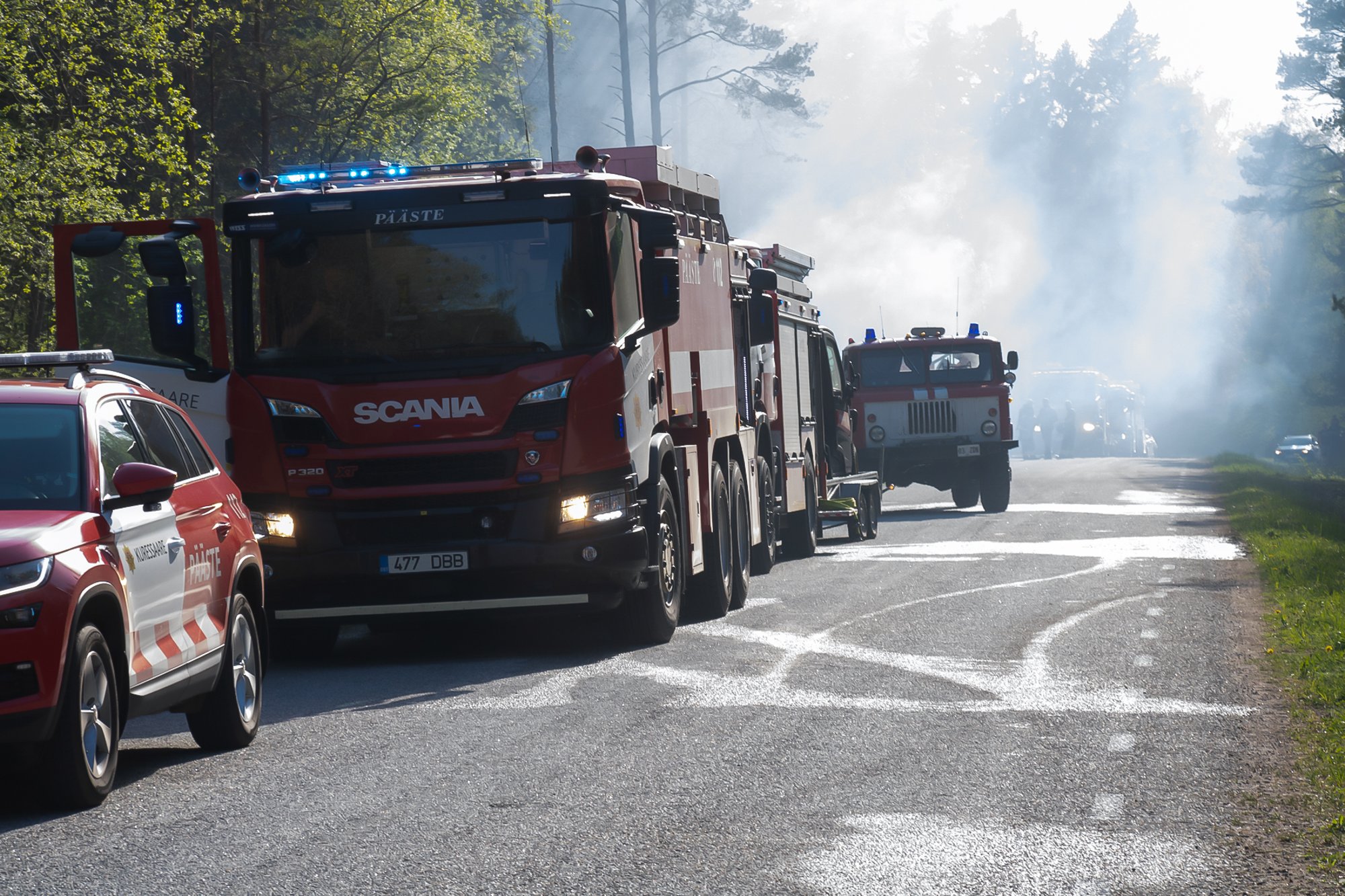 ФОТО | Рухнувшие провода высоковольтной ЛЭП подожгли гектар леса. Могло  быть гораздо хуже - Delfi RUS