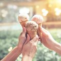 На Певческом поле в Таллинне вновь пройдет праздник мороженого