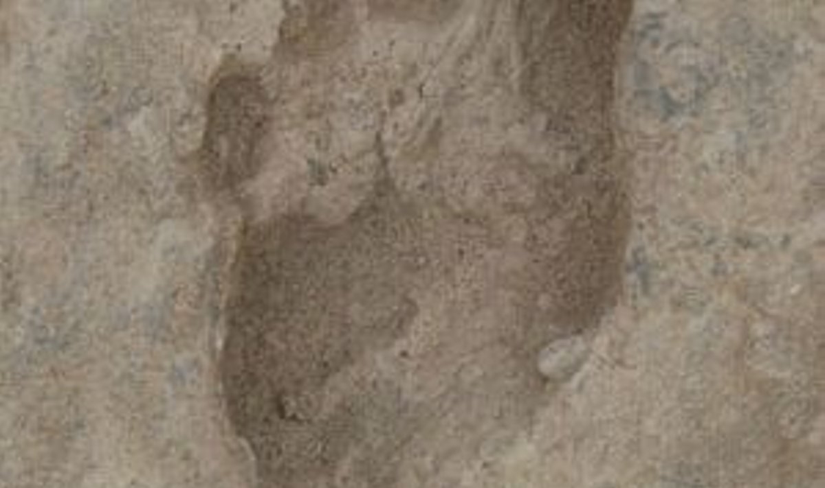 1,5 miljoni aasta vanune Homo ergasteri jalajälg. Foto: Matthew Bennett
