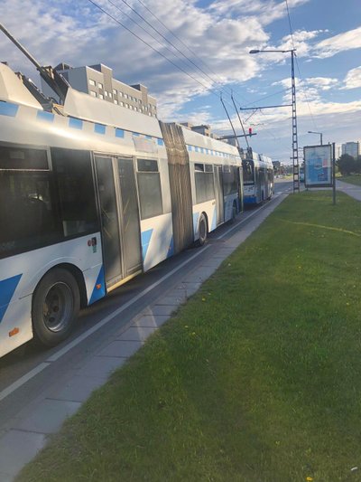 Trollikaabli langemine tekitas liikluses seisaku.