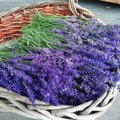 Tee ise lavendliõitega lõhnakotike