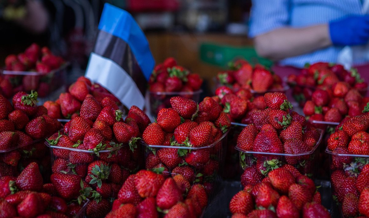 Balti jaama turu maasikad