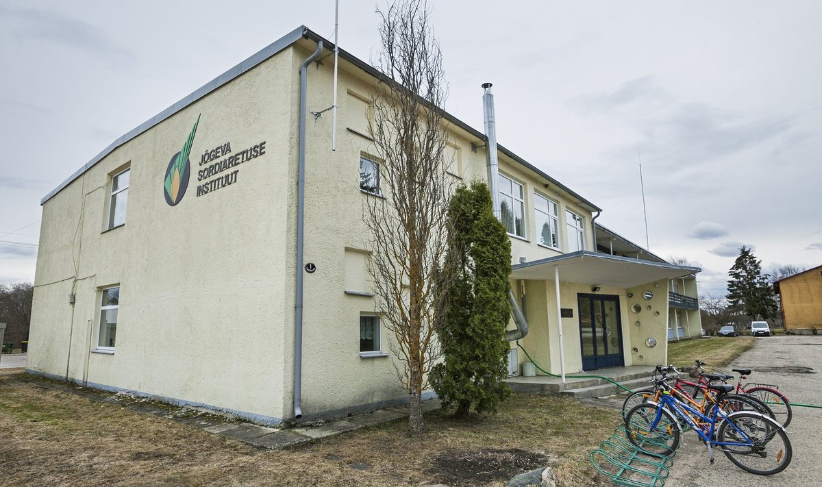 Jõgeva SAI oli üks asutus, mille baasil moodustati Eesti Taimekasvatuse Instituut.