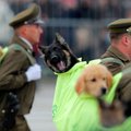 VIDEO | Tšiili relvajõudude paraadi suurimateks staarideks kerkisid... koerakutsikad