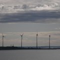 Nelja Energia hakkab Hiiumaal meretuuleparki rajama