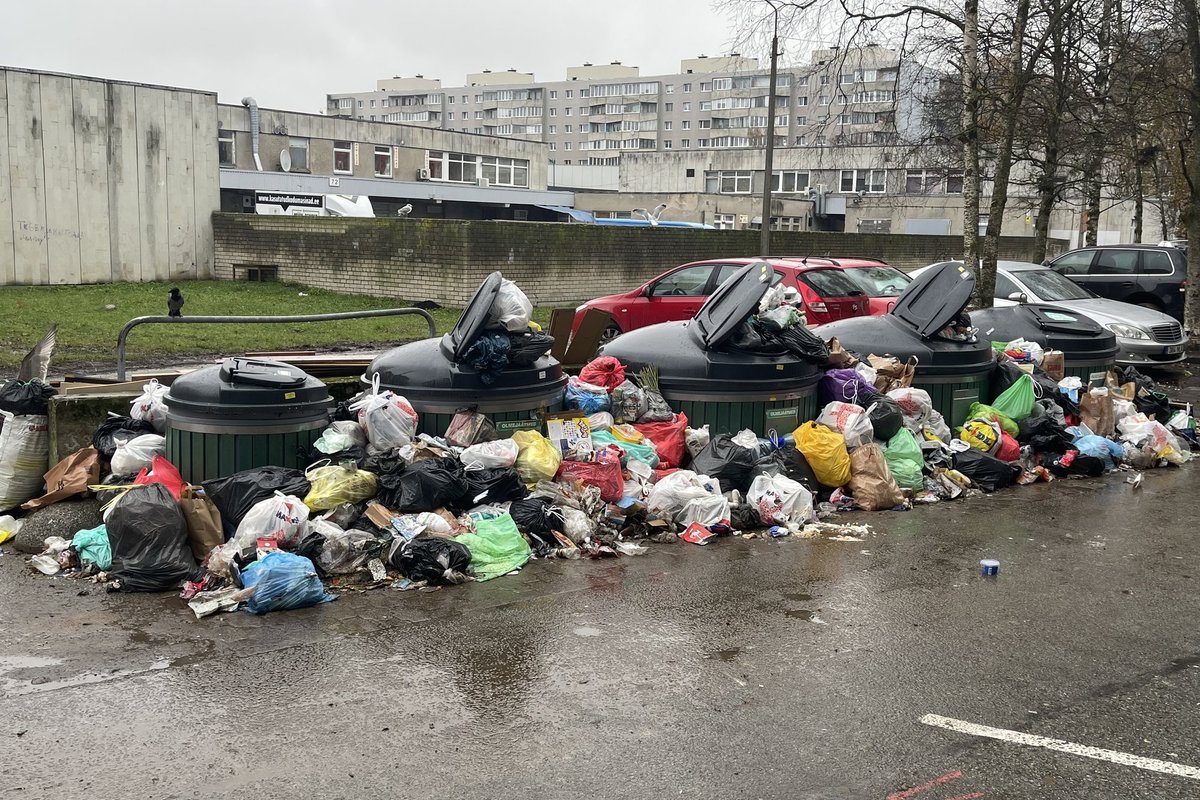 ФОТО | Горы мусора в Ласнамяэ: жильцы требуют разобраться в „этом ужасе“ -  Delfi RUS