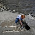 Iidse surma asjaolud selginevad: arheoloogid leidsid eelmisel kuul Pompeist avastatud peata mehe kolju
