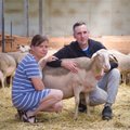 Viinamärdi piimalambatalus valmib ainulaadne juust – burrata