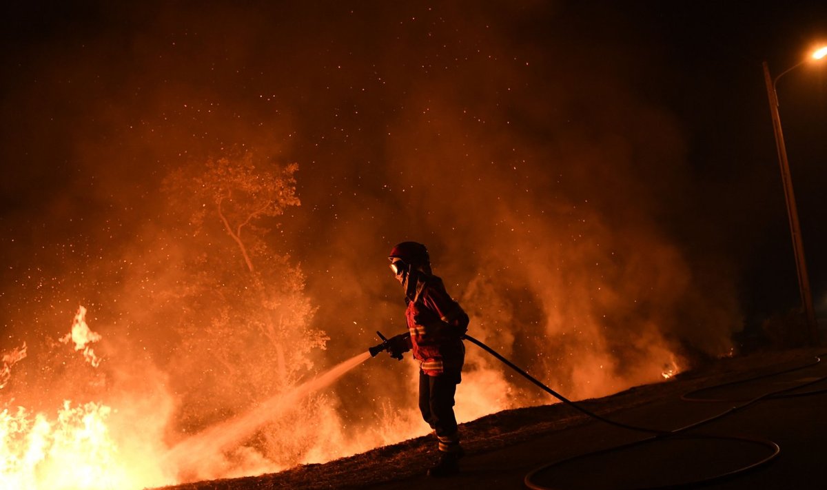 Tuletõrjuja Portugalis kustutustööd tegemas. 