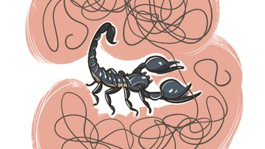 MAALEHE SUUR PÄIKESEMÄRKIDE HOROSKOOP 2023 | Skorpioni elus annab selgelt märku minevik. Sellega tuleb tegeleda