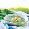 Väge täis supid | Kuus värskest aiakraamist tehtud suppi, mille keetmiseks on praegu kõige õigem aeg