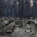 Число жертв пожаров в Калифорнии увеличилось до 31 человека