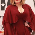Valus mütakas: Fännile kukkus Adele'i kontserdil lavajupp pähe