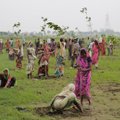 Roheline rekord: Indias istutati ööpäevaga peaaegu 50 miljonit puud