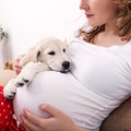 Kas minu koer teab, et olen rase enne, kui mina teada saan?