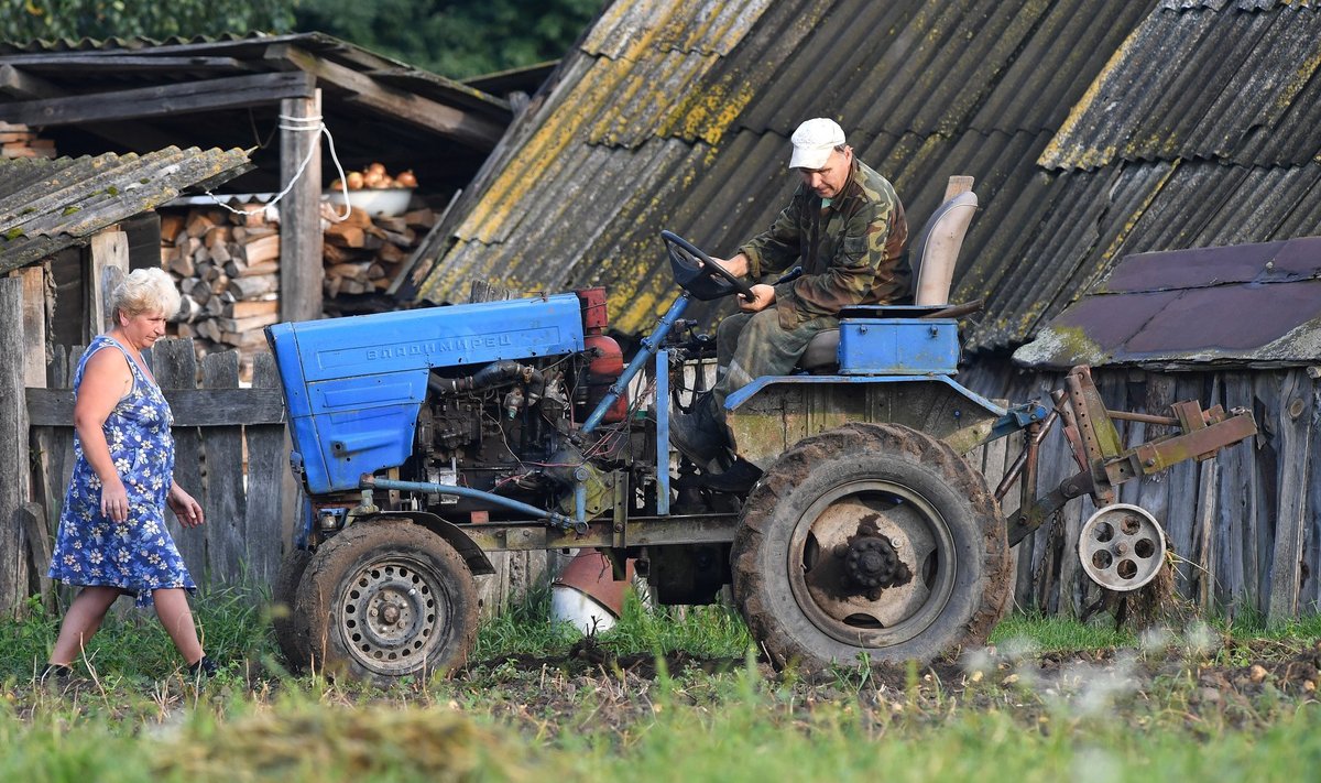 Valgevene põllupidaja. 