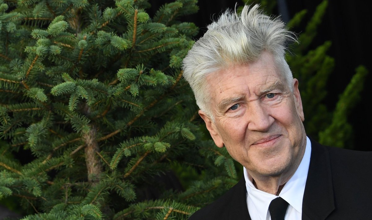 Premiere Of Showtime's "Twin Peaks" - Arrivals