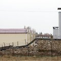 Türgi maavärina järeltõuge tekitas vanglamässu
