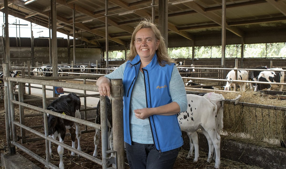 Tiina Roosalu on edukalt aretanud OÜ Nigula Piima karja ning kinnitab, et nende loomi maha ei müüda.