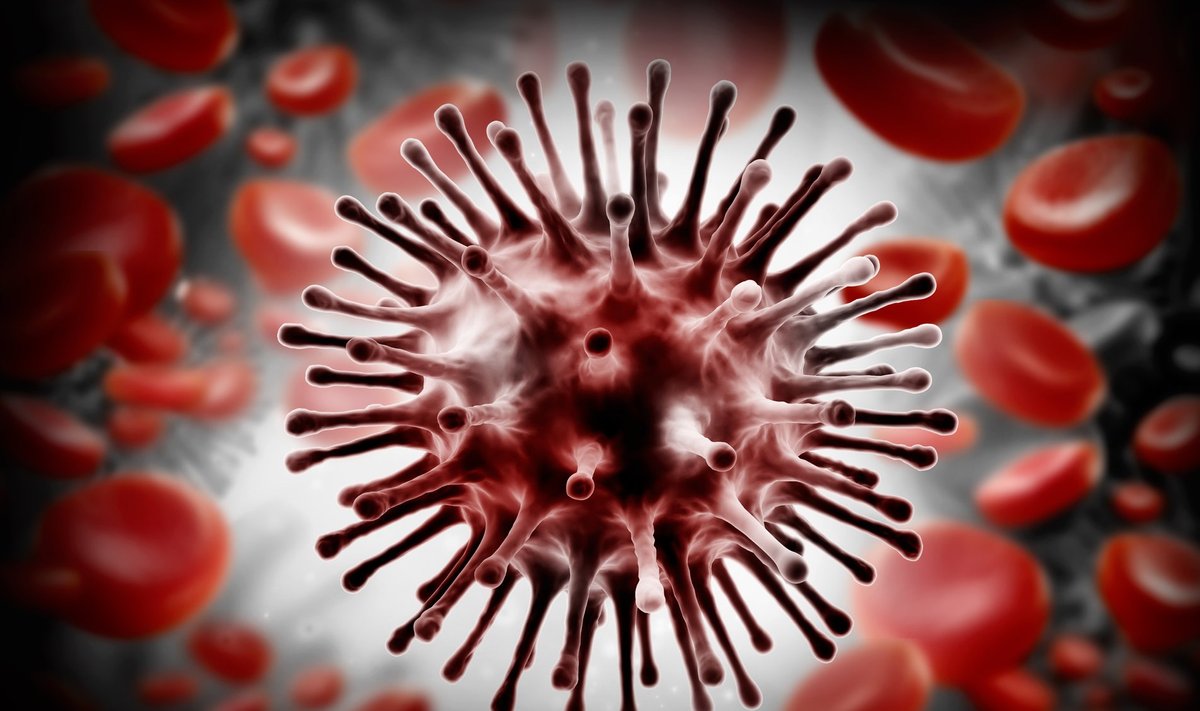 Saage tuttavaks: gripiviirus H1N1 Orthomyxoviridae sugukonnast