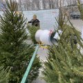 Eestis avati esimesed ööpäev läbi toimivad jõulupuude iseteeninduspunktid