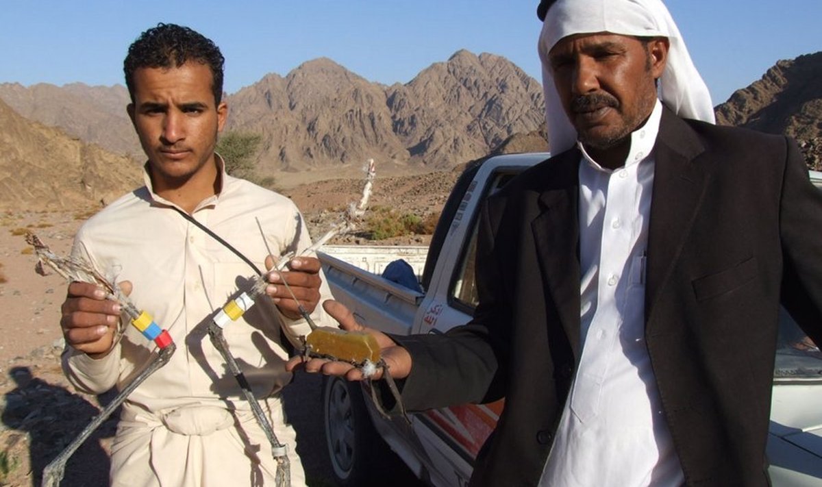 Sookure jalgu hoiab noor Muzeina hõimu beduiin Sophei Faraadzh. Tema kõrval seisab kure satelliitsaatjat käes hoides ekspeditsiooni korraldanud hõimukaaslane Salman Gharib. Foto: Toomas Mikkor