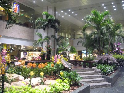 Changi