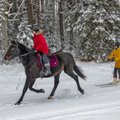 Hobusuusklemine!? Alutagusel sündis uus sportlik meelelahutus