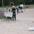 FOTOD | Luik lendas laste mänguväljaku kohal elektrijuhtmetesse ning vajas päästjate abi