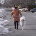 ВИДЕО | Собака спасла жизнь хозяйки во время прогулки