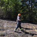 FOTOD | Viljandimaal põleb mets, tuli põletas läbi ka elektriliine