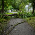 В преддверии осенних бурь: специалист объясняет, как защитить свой дом от штормов